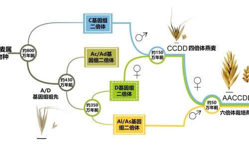 婴儿吃的多尿的少网—知名的婴儿尿量少是否是吃不饱呢网站,分享婴儿尿量多少表示吃饱知识