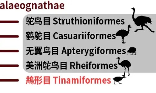 婴儿吃的多尿的少网—知名的婴儿尿量少是否是吃不饱呢网站,分享婴儿尿量多少表示吃饱知识
